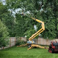 Best Weed Control  in Coffeyville, KS