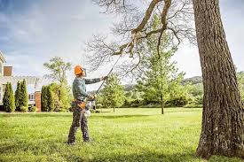 Best Lawn Renovation and Restoration  in Coffeyville, KS